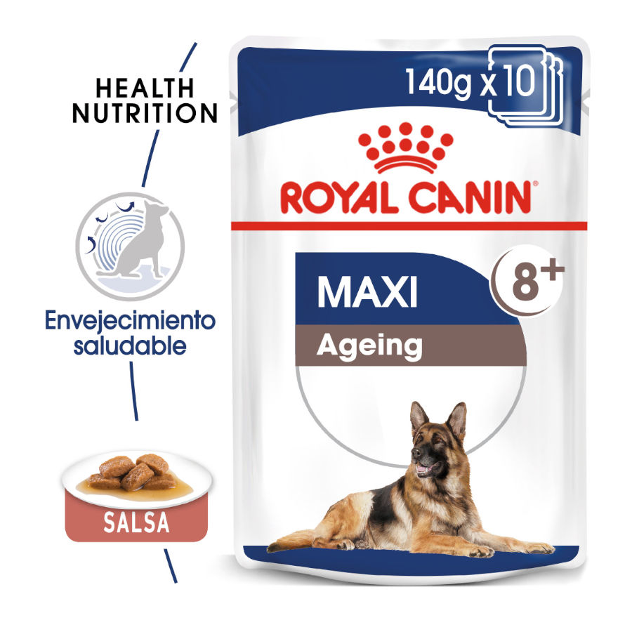 Royal Canin Maxi Ageing sobre en salsa para perros , , large image number null